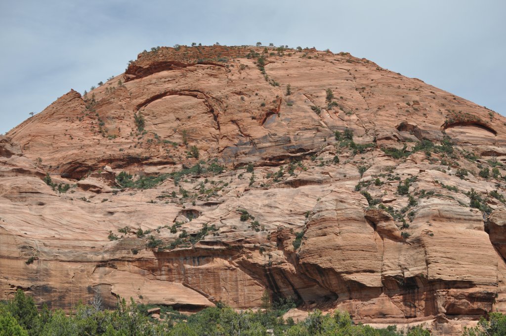 DSC_0541.JPG