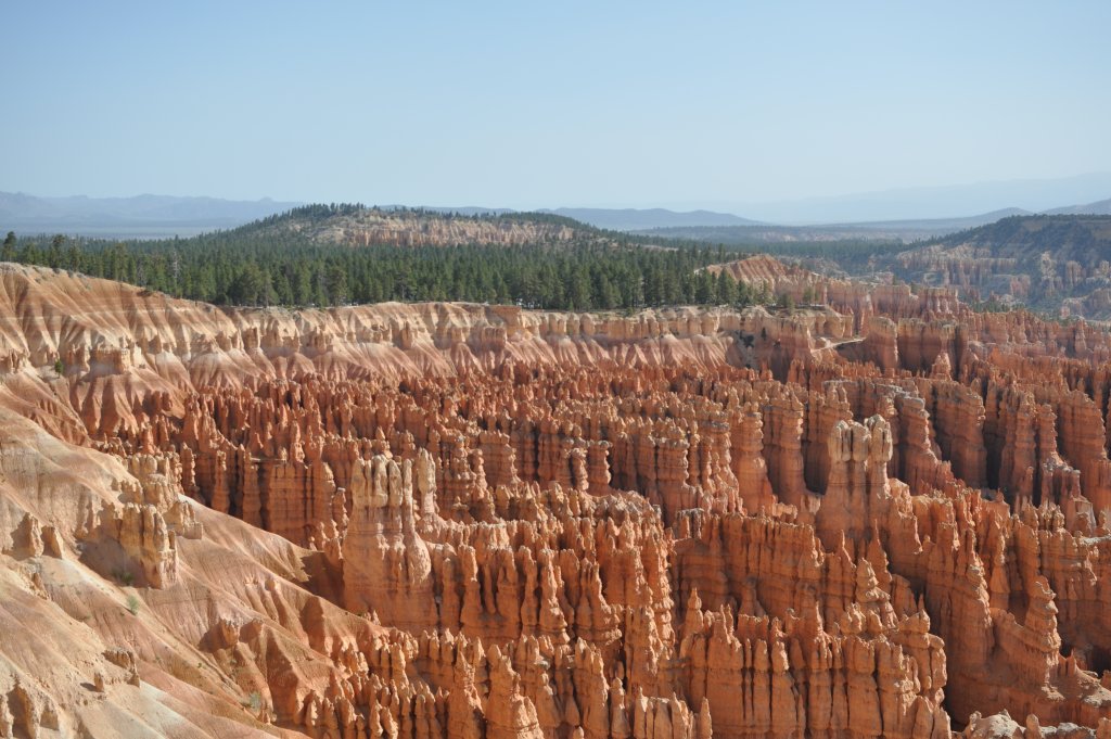 DSC_0781.JPG