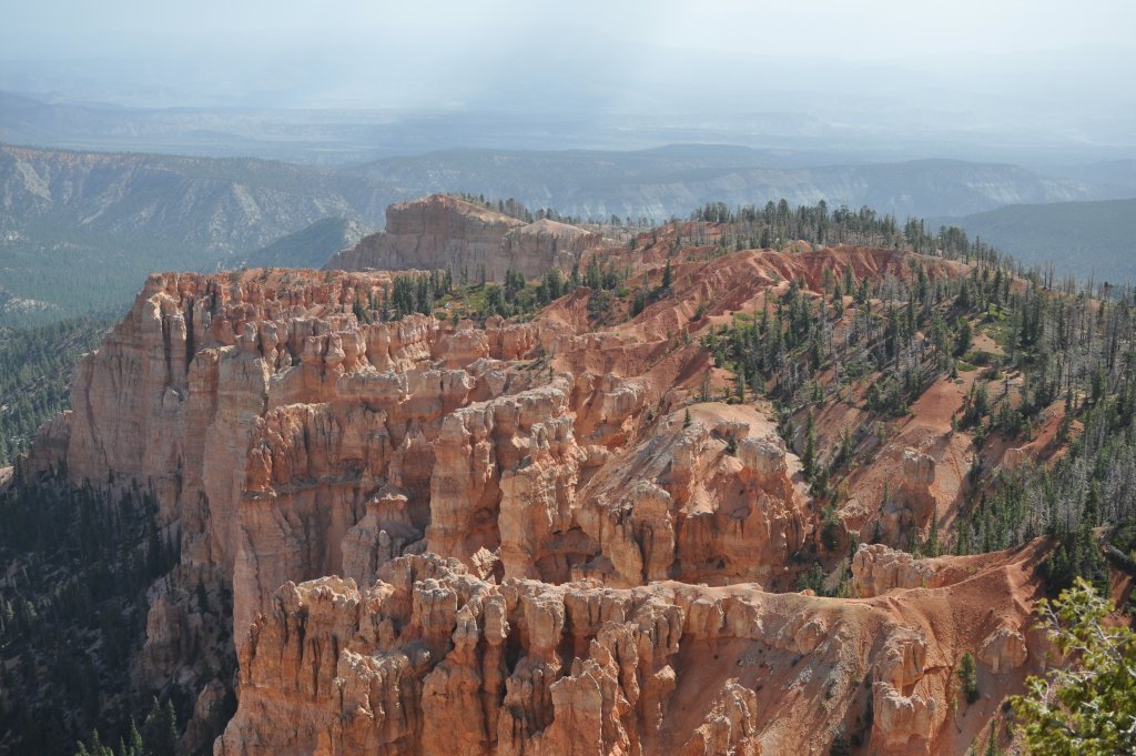 DSC_0805.JPG