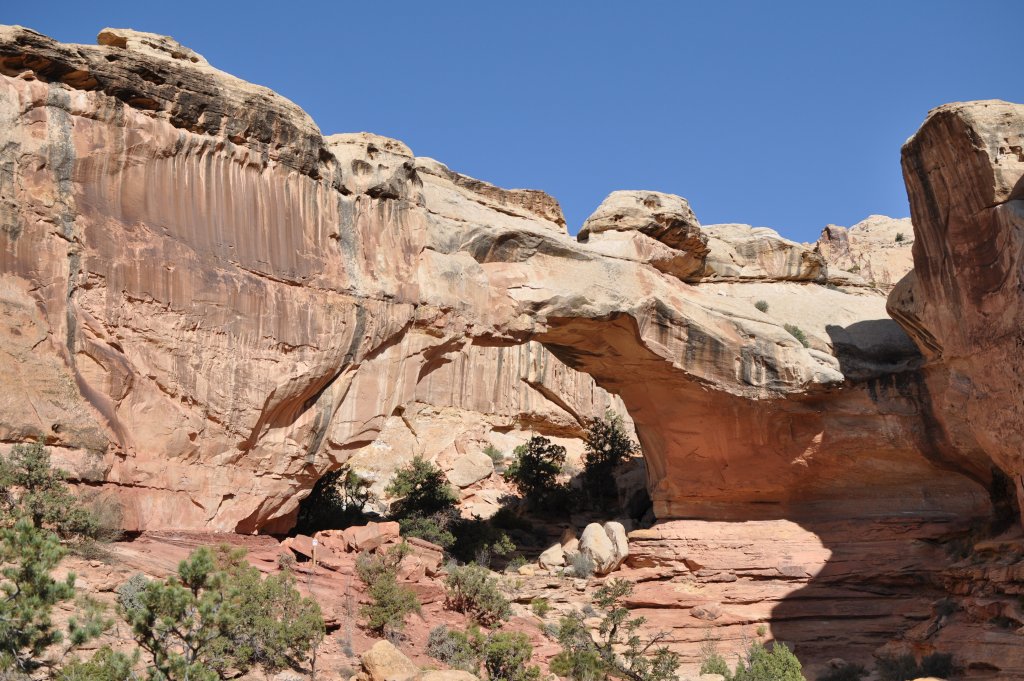 DSC_0868.JPG