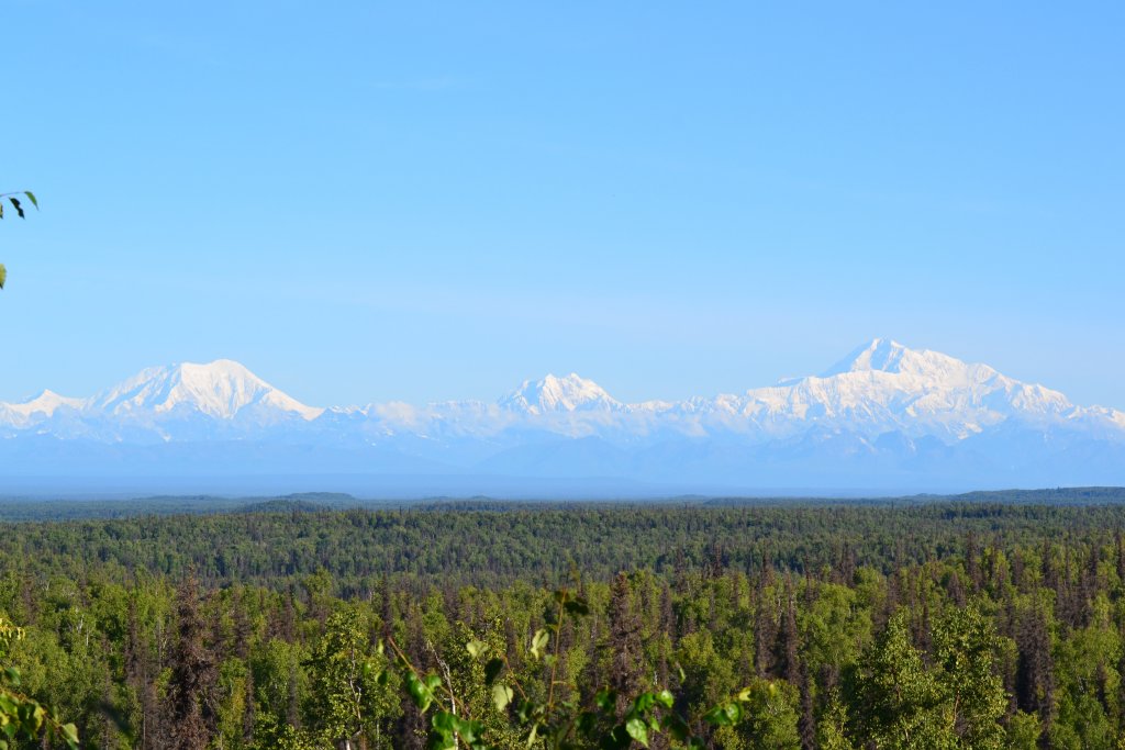 DSC_1191.JPG