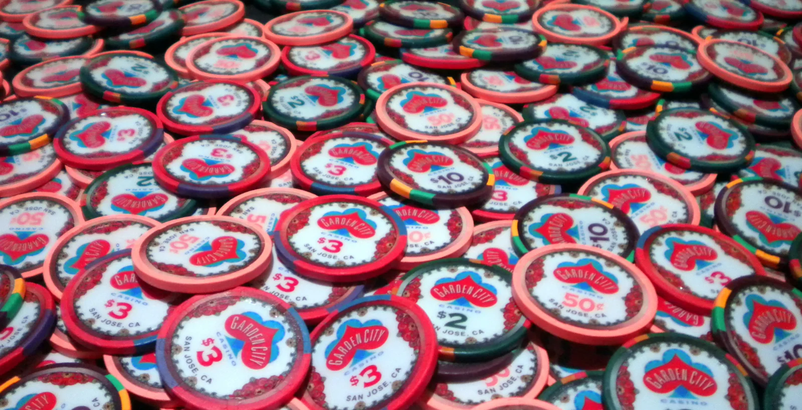DSCN4775.webp