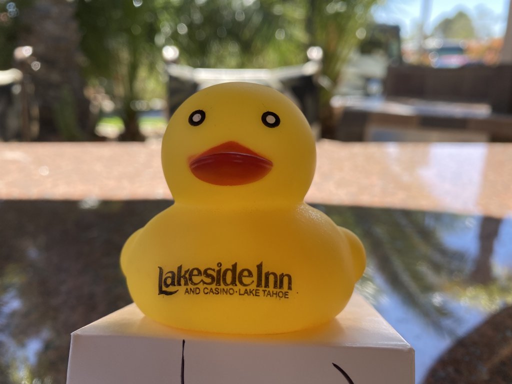 duck in vegas.jpg