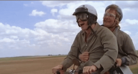 dumb-16.gif