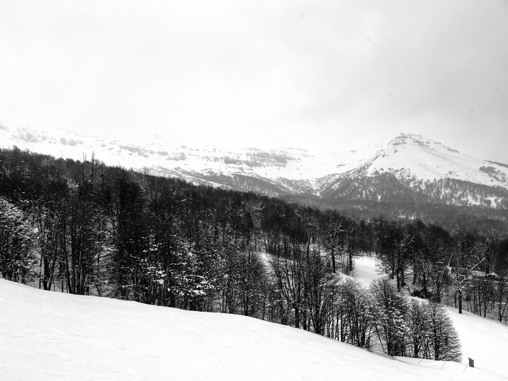 E1778248-D14C-4007-BAAC-55671894E6FA.jpeg