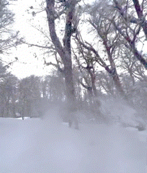 E4E9656A-82A4-456E-A77F-10F67CFB8339.gif