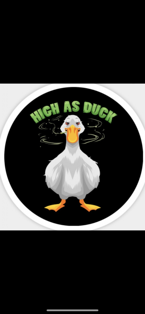E4F9F6CD-C1C9-4E72-B889-F0F844BFCBCE.png