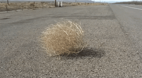 E657E5C1-5D89-484C-A83E-6CF2D428F133.gif