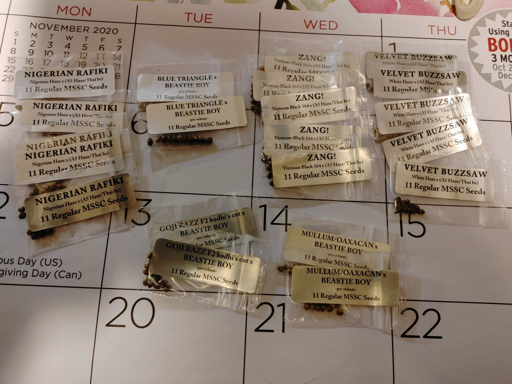 E7BA4E09-DC53-4458-A82C-878272F17576.jpeg