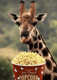 E9C7B79B-AA31-42E3-9CB1-26691BDB9C1B.gif