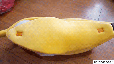 ED5BF064-3AF6-41DC-81F5-A70CF6638856.gif