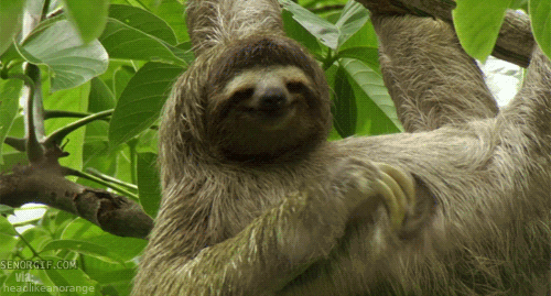 EDC556B5-D61E-442F-AED8-E03F15953F7E.gif