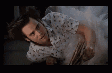 EE0B28B9-45A9-4500-BEDC-C5F52BD0DB35.gif