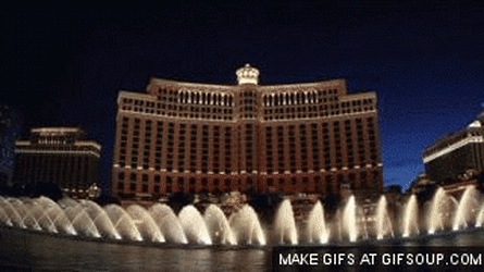 EnergeticPlushDassie-size_restricted.gif