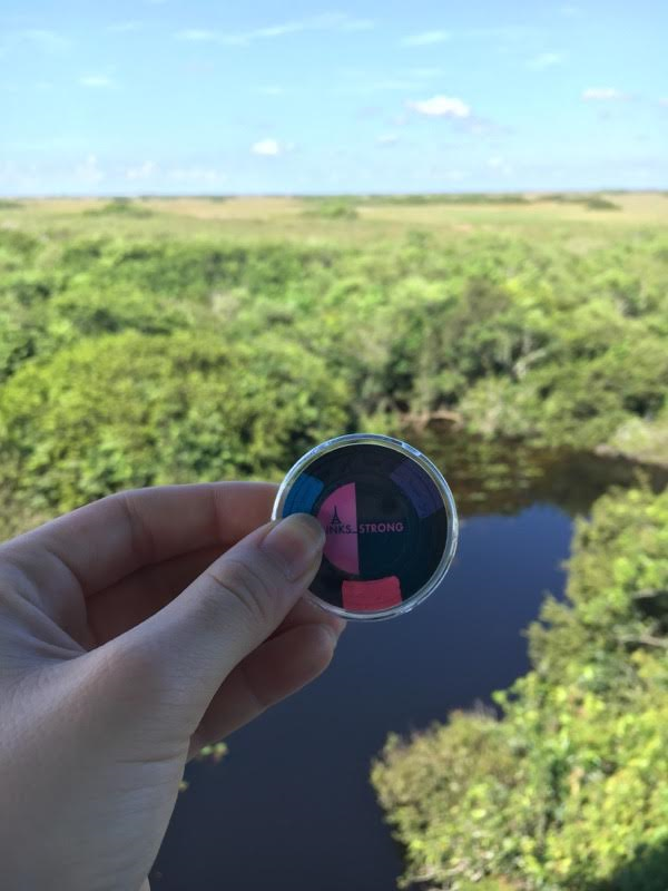 everglades.png