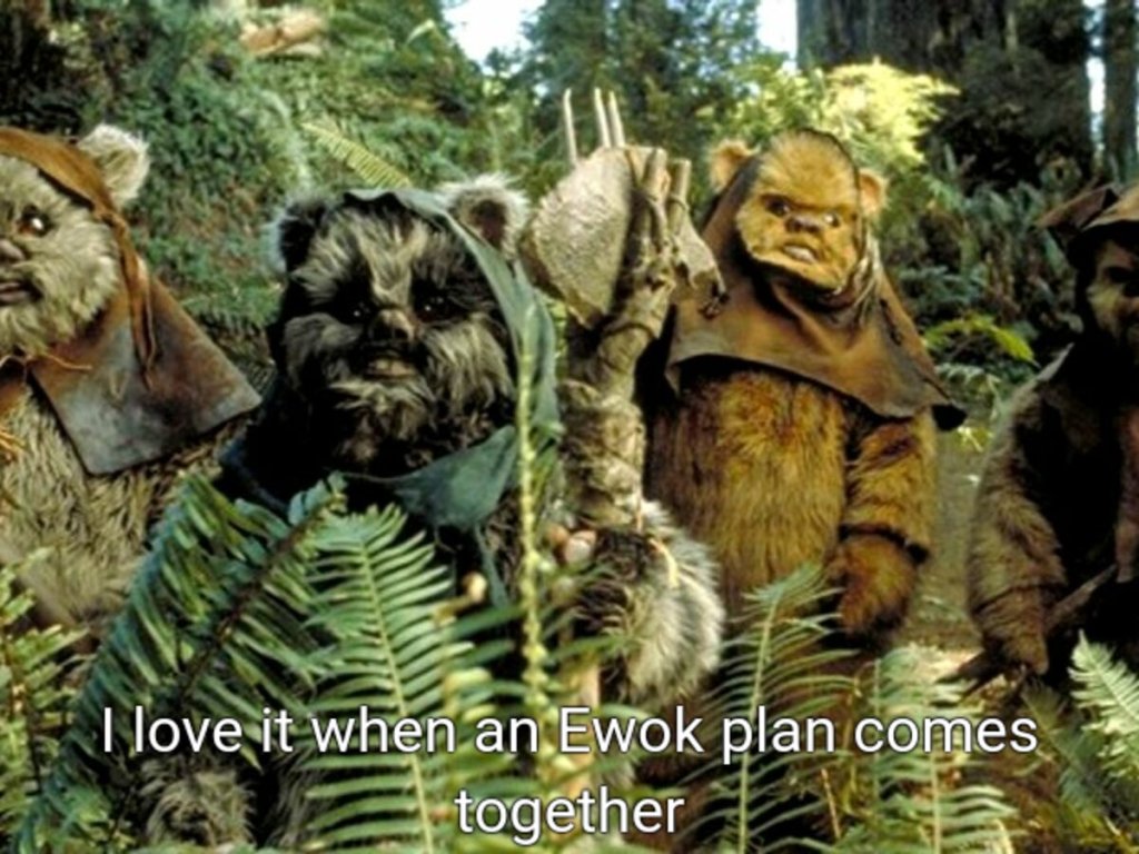 ewoks-reemplazaron-a-los-wookiees-1-1200x900 (2).jpg