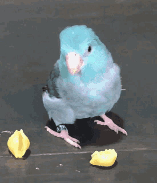 F09B132E-CE6F-4906-AFC9-C3A2BDAEA9D1.gif