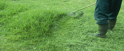 F339E1E5-D699-400B-9660-1BF3952D63C1.gif