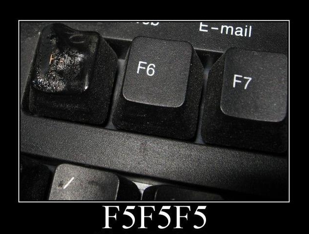f5-3.jpg