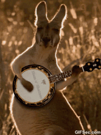 f621fb14e961258278a4be87e4d8cbca_w200.gif