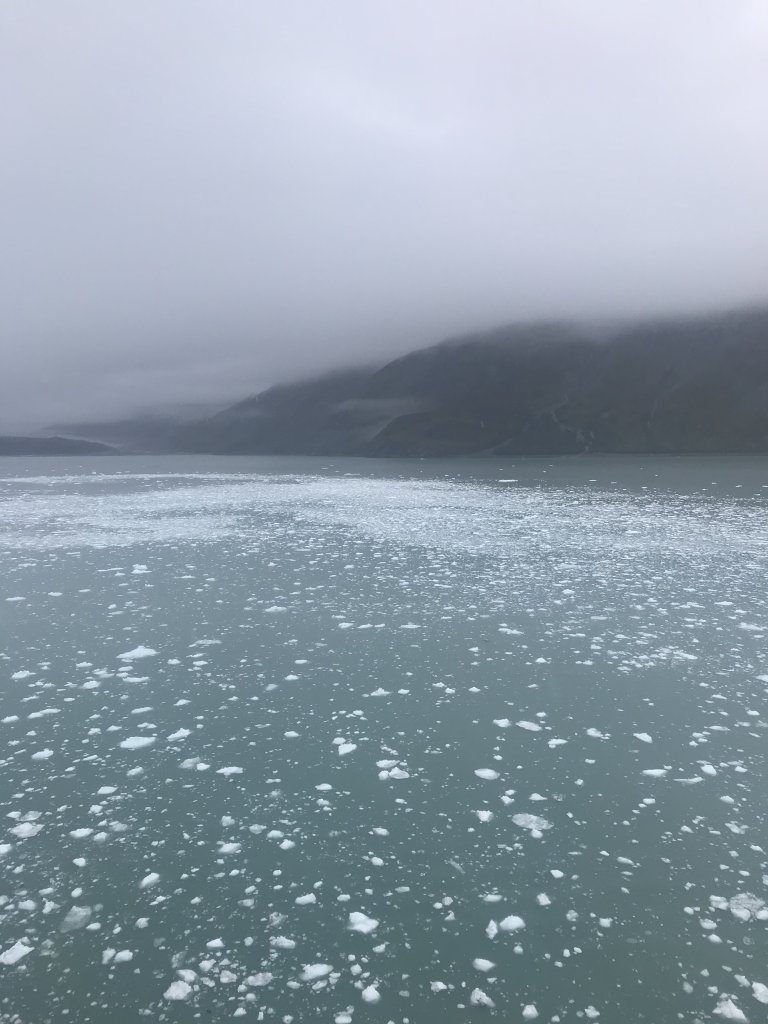 F7493E72-F419-458D-B3AC-F73020B0032A.jpeg