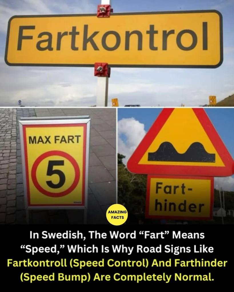 Fart-23.webp