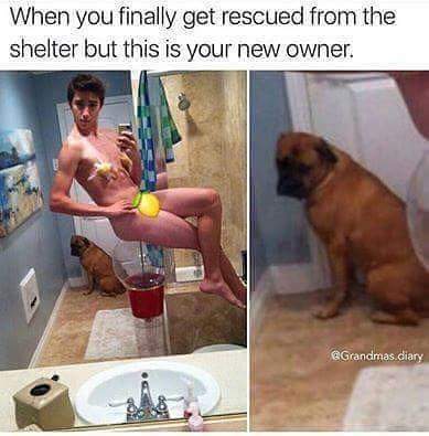 FB_IMG_1458345591875.jpg