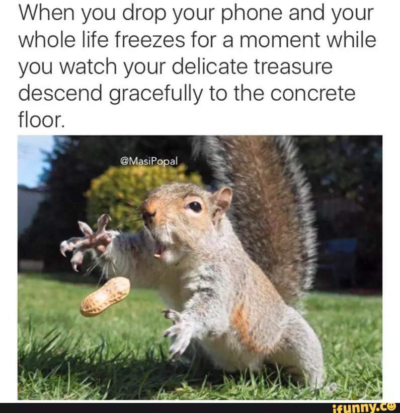 FB_IMG_1460304274698.jpg