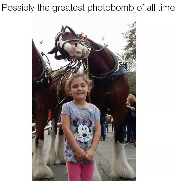 FB_IMG_1462062315767.jpg