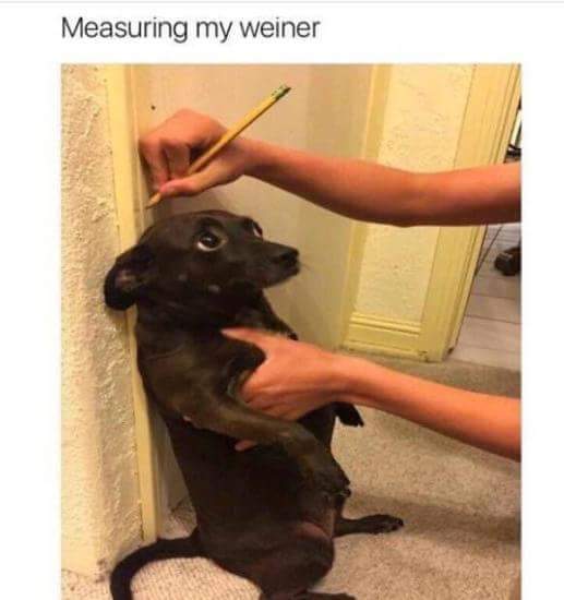 FB_IMG_1597619661693.jpg