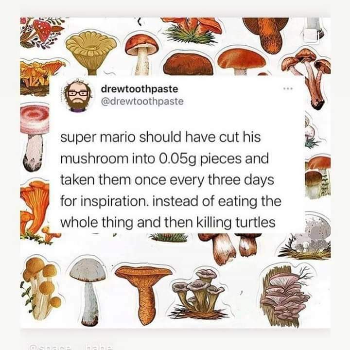 FB_IMG_1614548230514.jpg