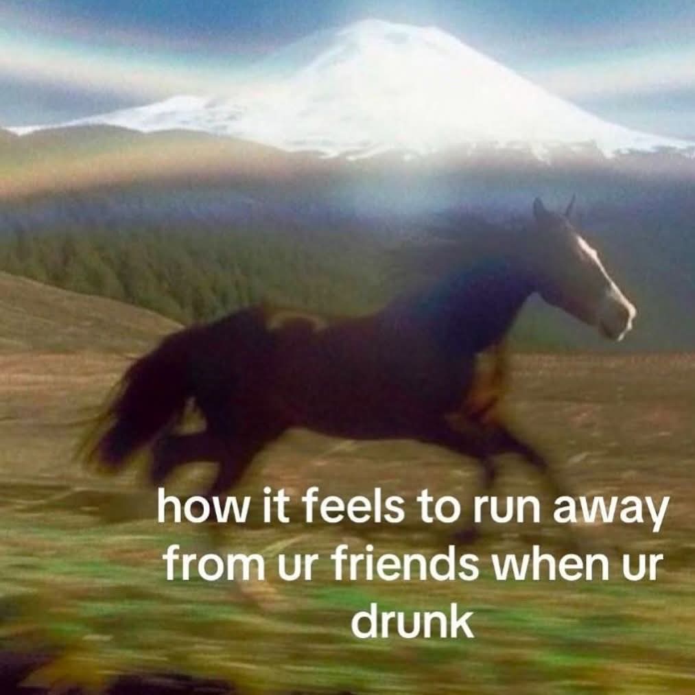 FB_IMG_1744409622608.jpg