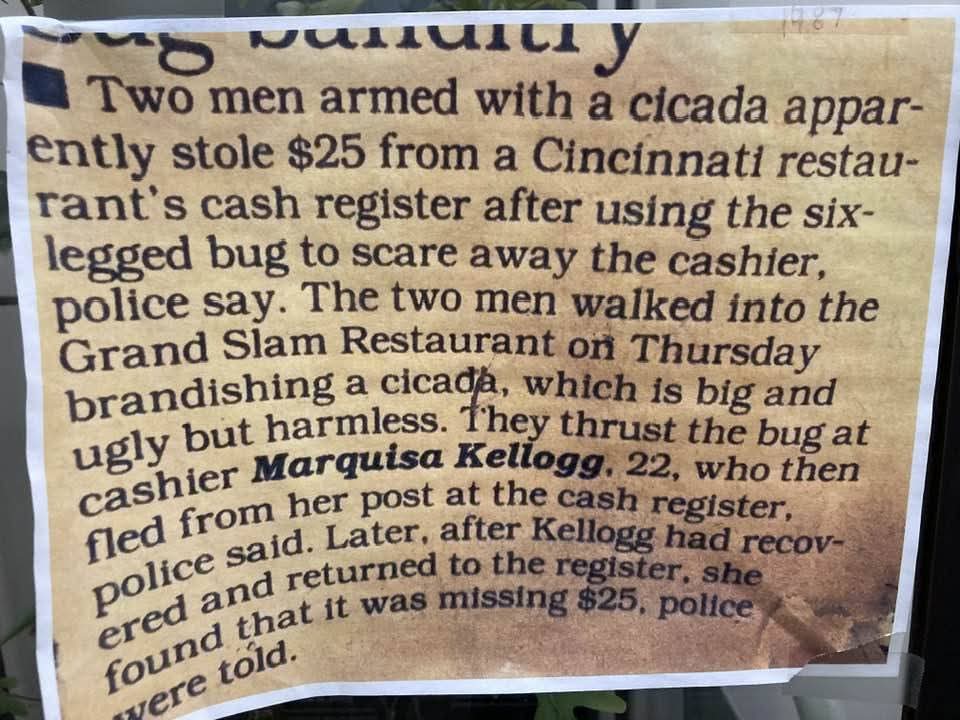 FB_IMG_1748160516228.jpg