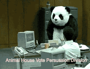 FD6A6495-9D07-46B1-99EA-B63AFF037E4B.gif