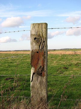 fence post.jpg