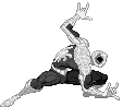 ffspiderman_21117_thumb.gif