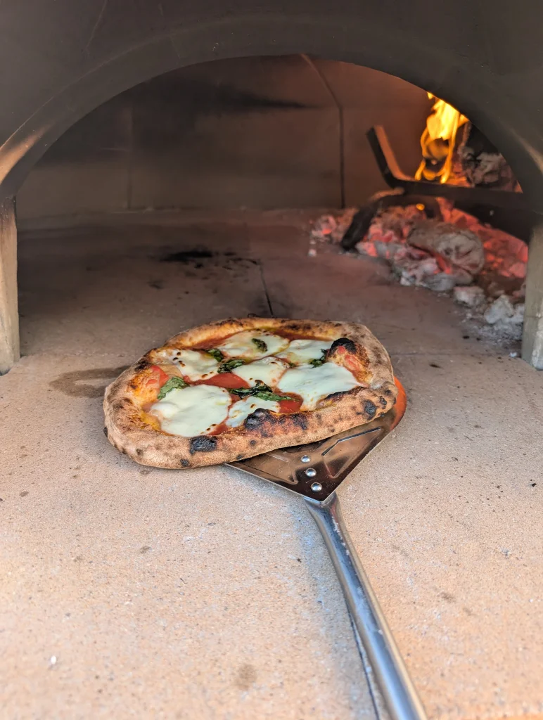 first_day_pizza.webp
