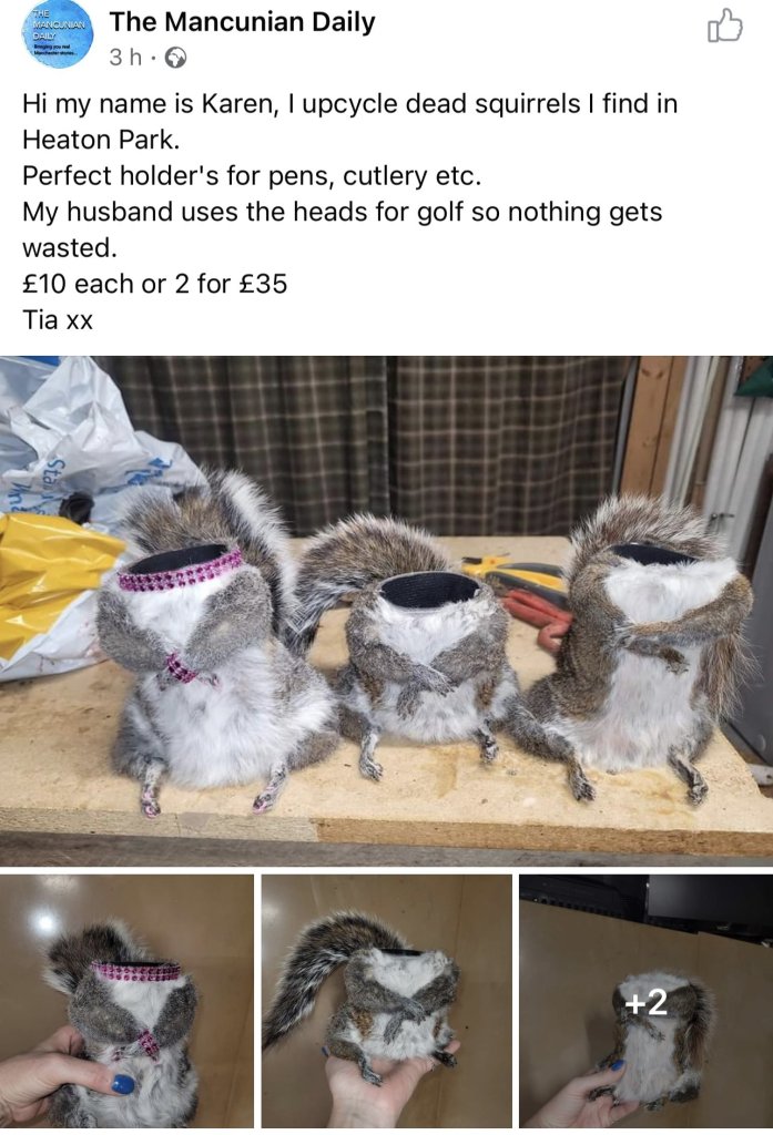 FJKu_xnXwAEYniG.jpeg