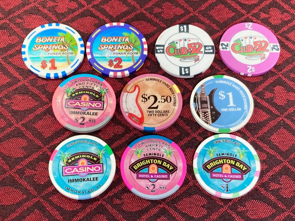 FLA chips.jpg