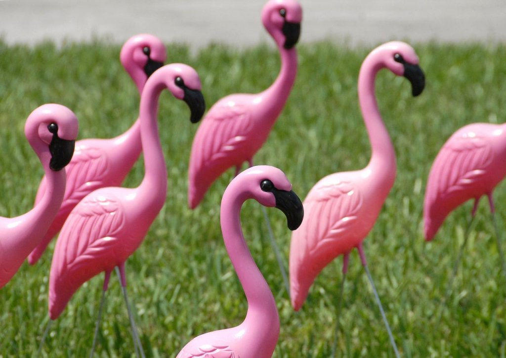 flamingo.jpg