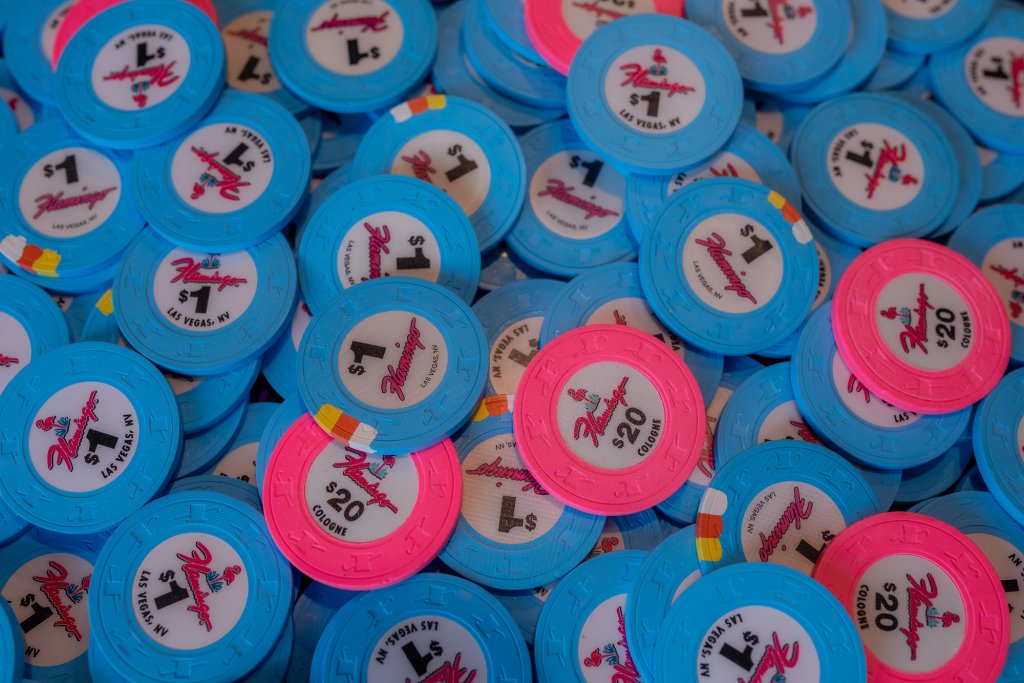 Flamingos and sales-50.jpg