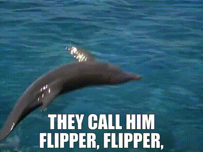 flipper.gif