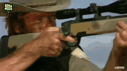 FormalFondGreatwhiteshark-size_restricted.gif