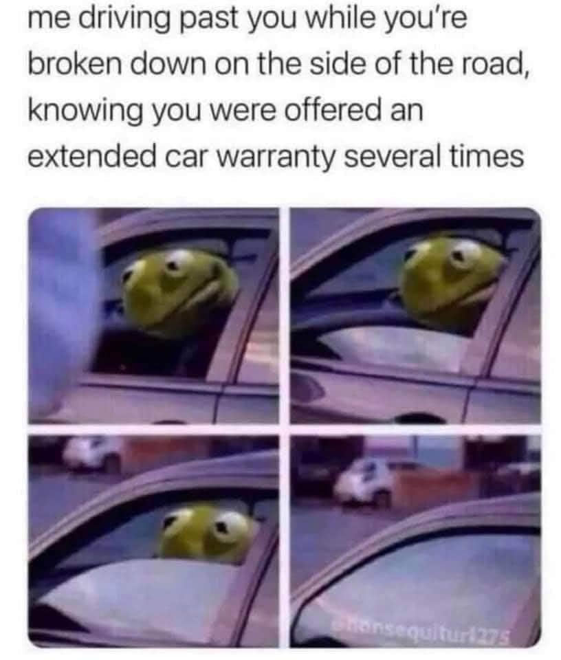 frog.jpg