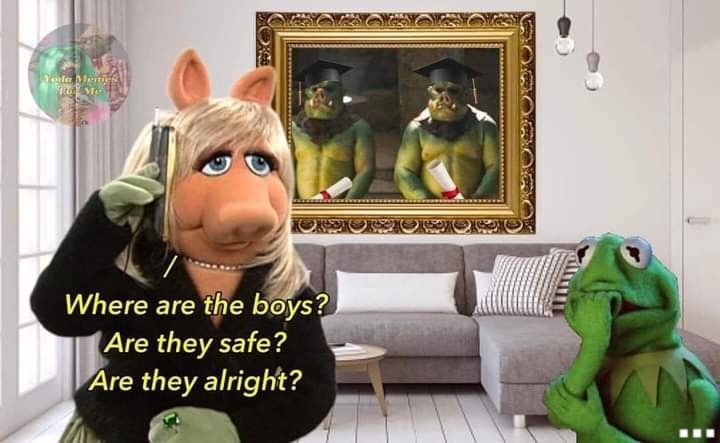 frogs.jpg