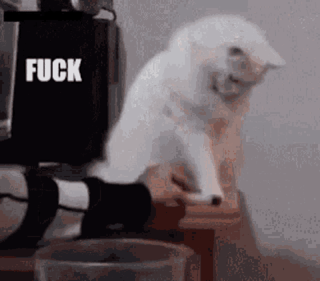 ft.gif