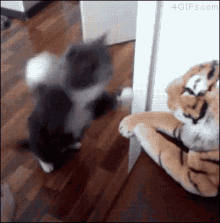 gif.gif