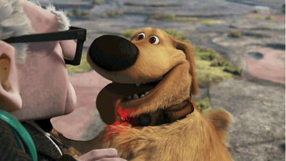 giphy (1).gif