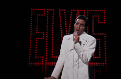 giphy (1).gif