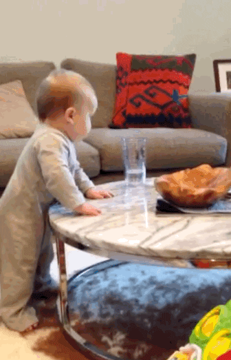 giphy-1.gif